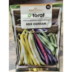 Fasola szparagowa karłowa Mix odmian Fasola szparagowa karłowa Mix odmian