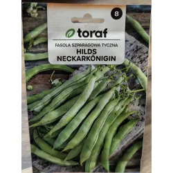 Fasola szparagowa tyczna Hilds Neckarkonigin