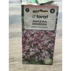 Maciejka dwuroga Jasnofioletowa