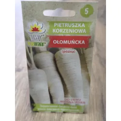 Pietruszka korzeniowa Ołomuńcka