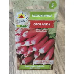 Rzodkiewka Opolanka