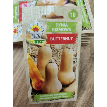 Dynia piżmowa Butternut