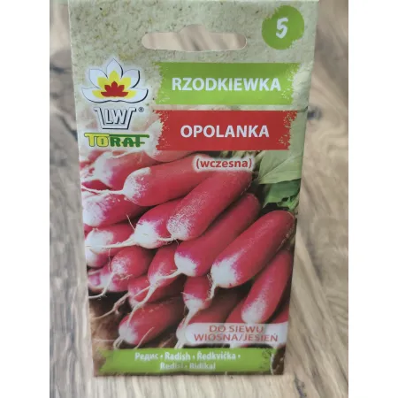 Rzodkiewka Opolanka